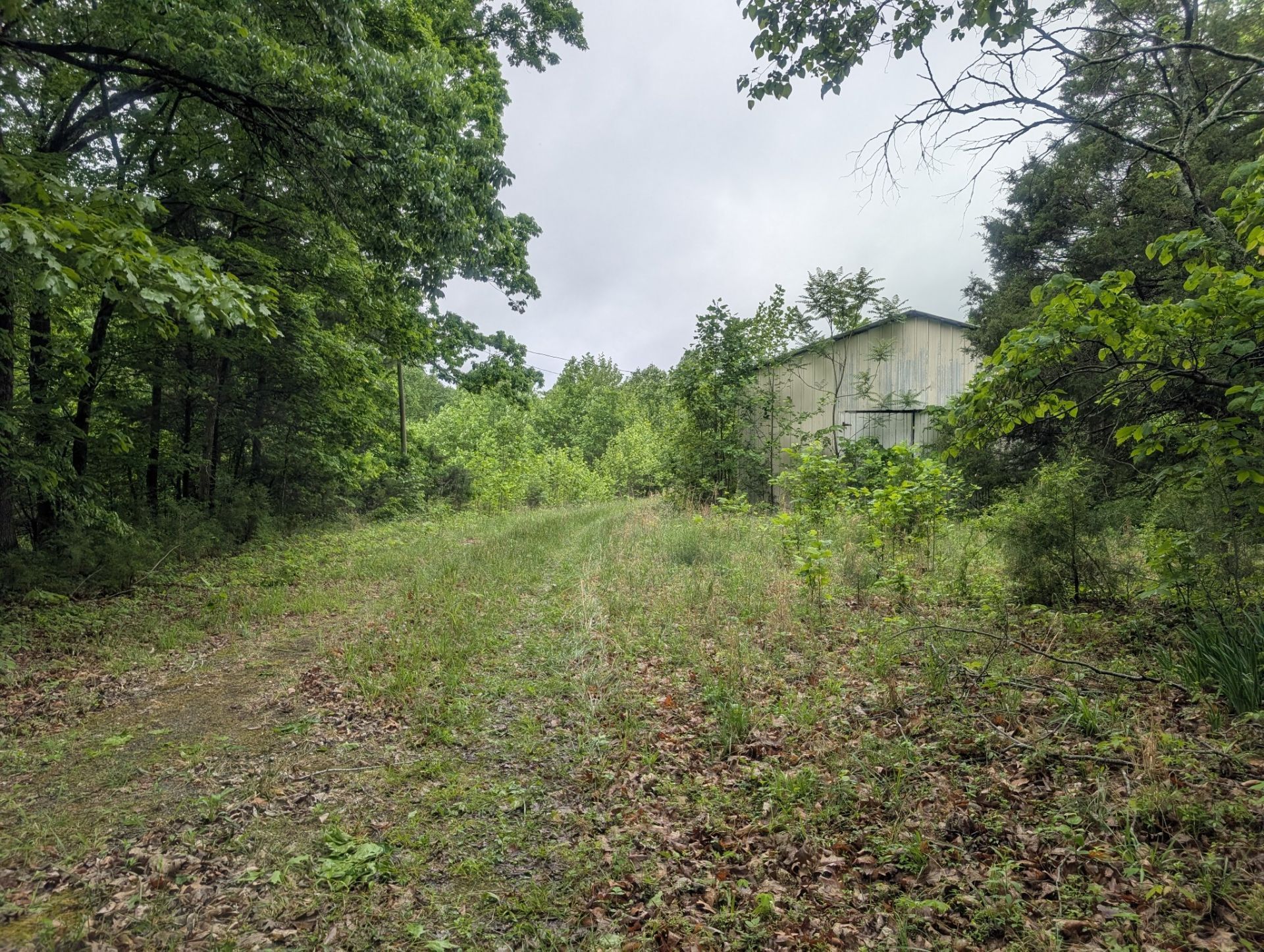 1475 Holland Road , Lafayette, TN 37083 Main Photo