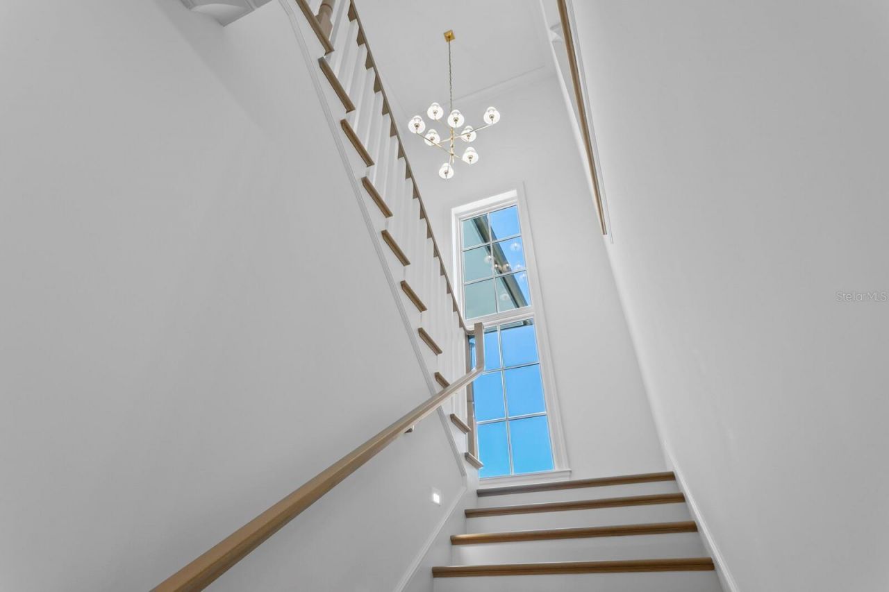 16 Sandpiper Road, Tampa, FL 33609 Photo