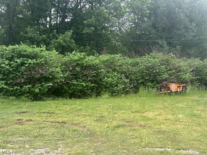 2374 Triplett, Akron, OH 44312 Photo 4