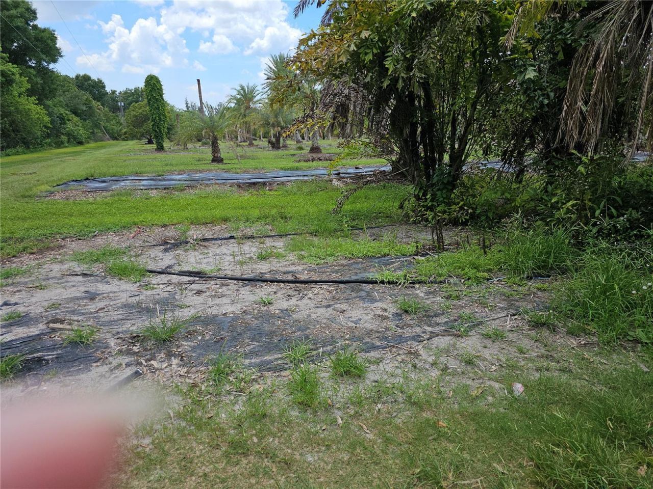 1405 6th Street Se, Ruskin, FL 33570 Photo