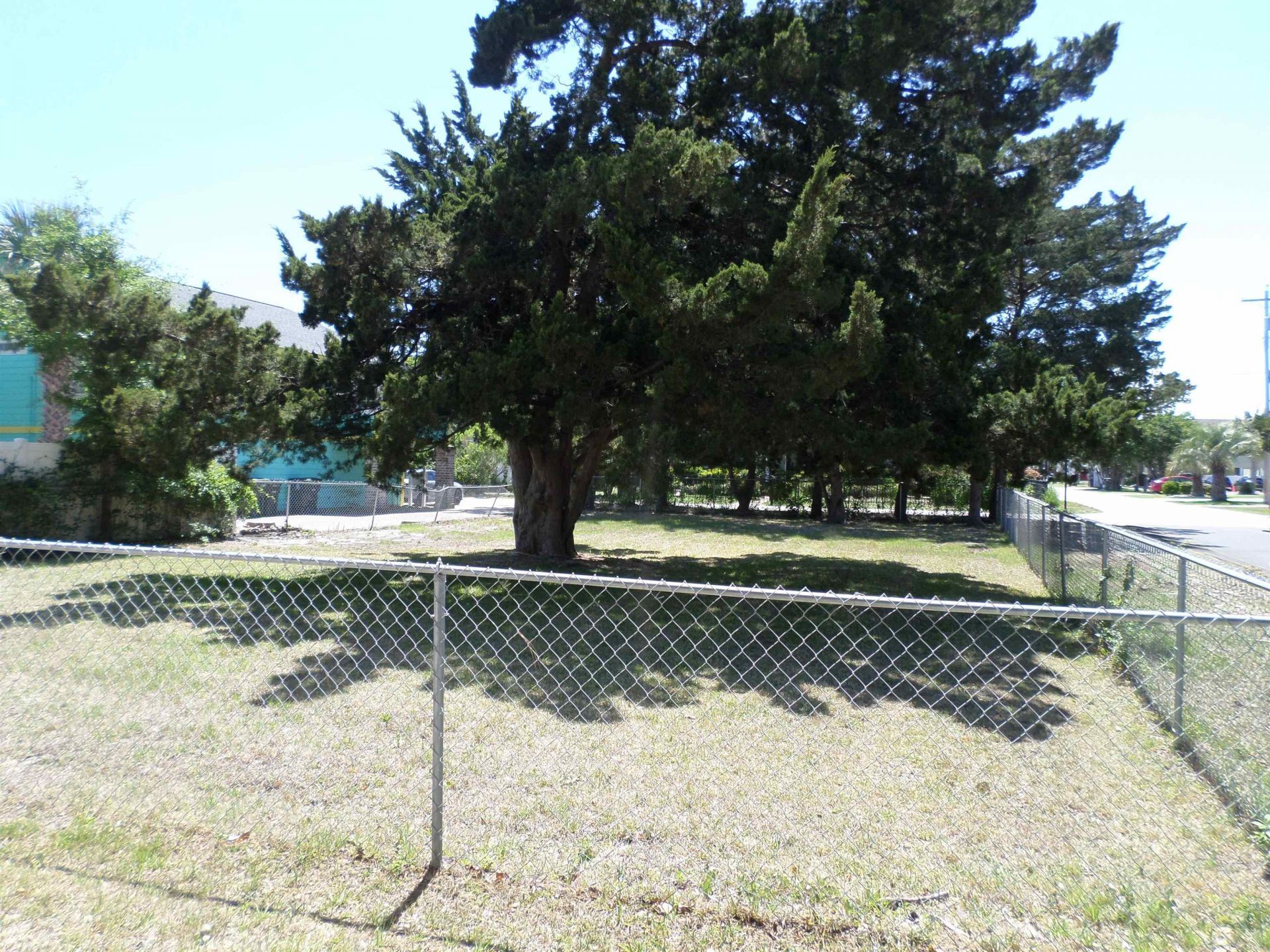 1421 Havens Dr. Photo 14