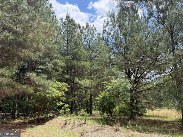 008 George Milling Rd, Toomsboro, GA 31090