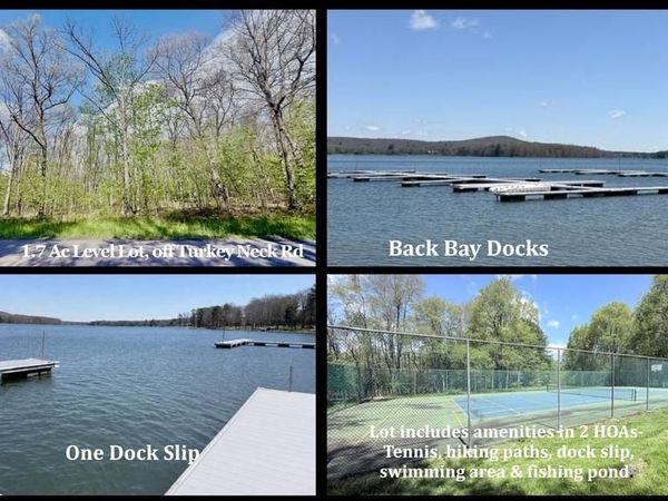 TURKEY NECK ROAD, Unit LOT 12, SWANTON, MD 21561