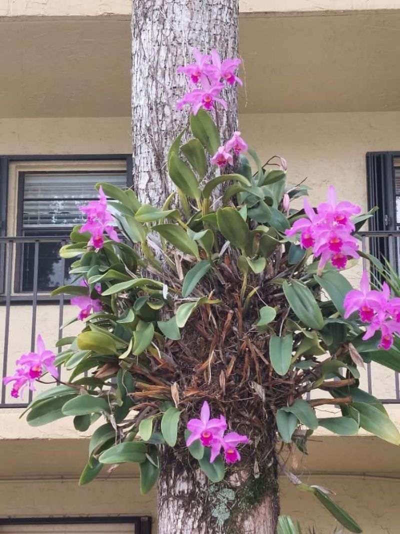 367 S Federal Highway, Unit B103, Deerfield Beach, FL 33441 Photo