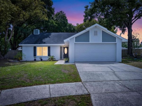 2078 SHADOW PINE DRIVE , BRANDON, FL 33511