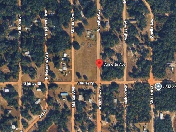 ANNETTE AVE , INTERLACHEN, FL 32148