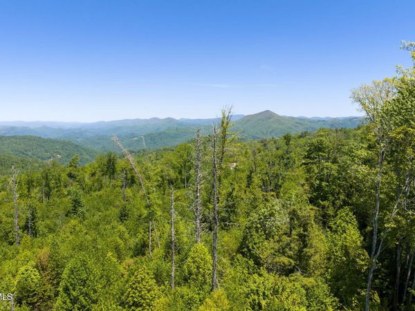 Tbd Walnut Mountain Road, Unit Tbd, Roan Mountain, TN 37687