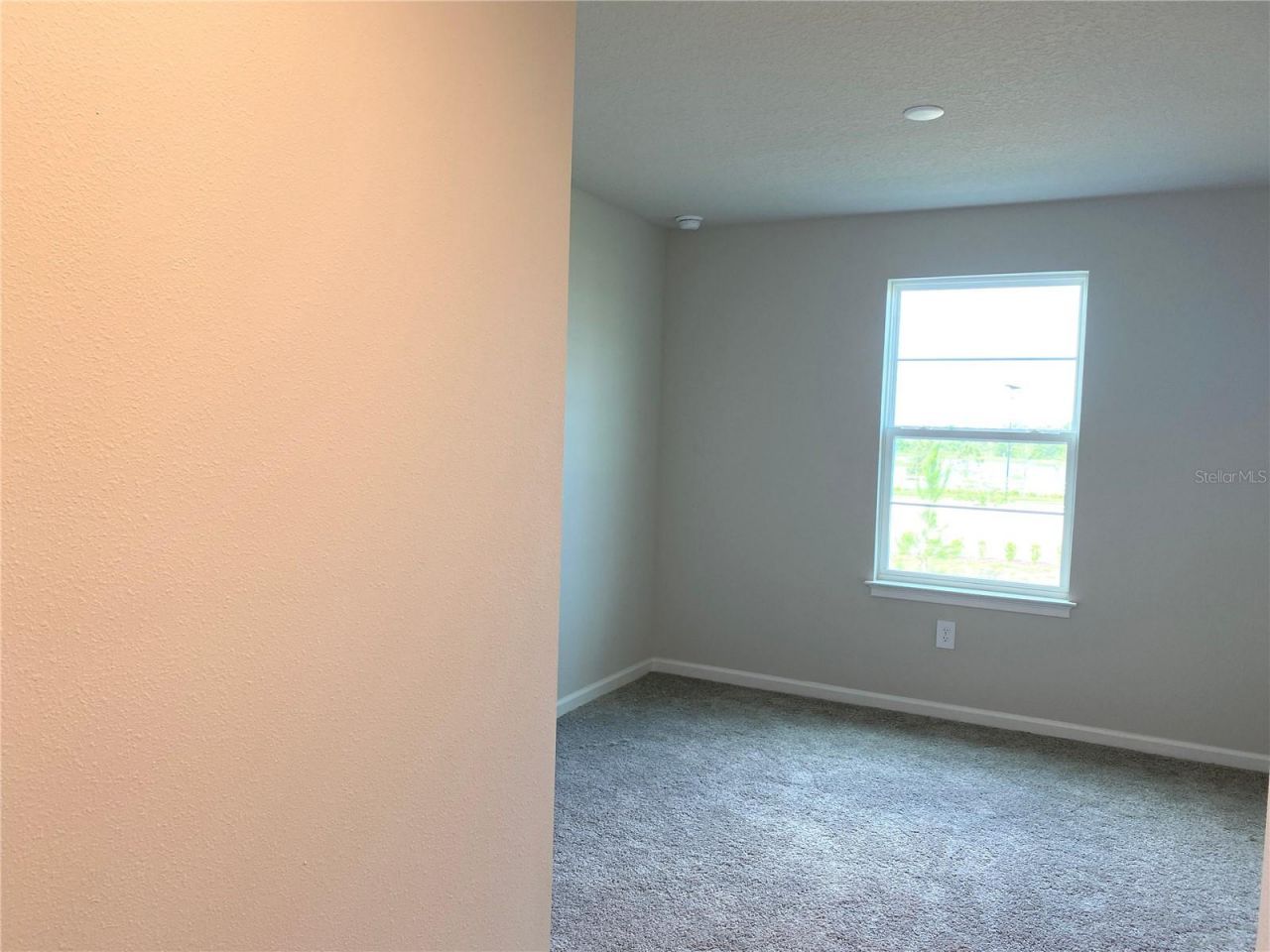 8850 Ginko Run, Parrish, FL 34219 Photo