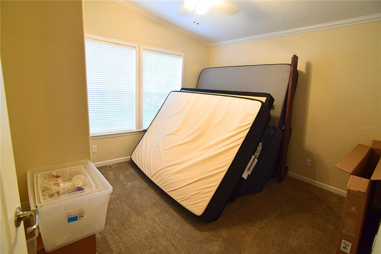 3678 Coconut Palm Circle , Oviedo, FL 32765 Photo