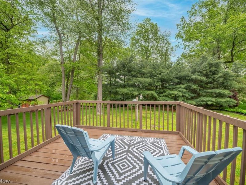 1431 Raccoon NE, Howland, OH 44484 Photo 8