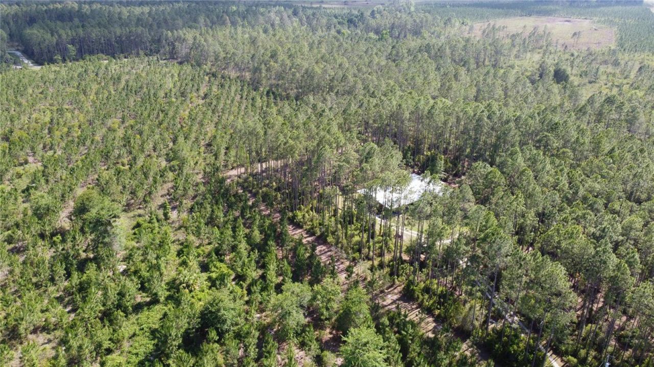 681 S County Road 315, Interlachen, FL 32148 Photo