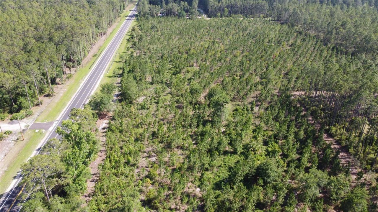 681 S County Road 315, Interlachen, FL 32148 Photo