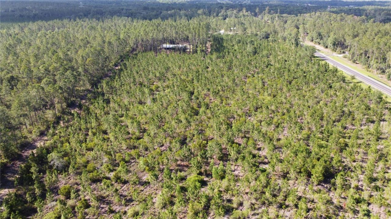 681 S County Road 315, Interlachen, FL 32148 Photo