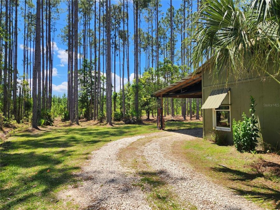 Property Image 8