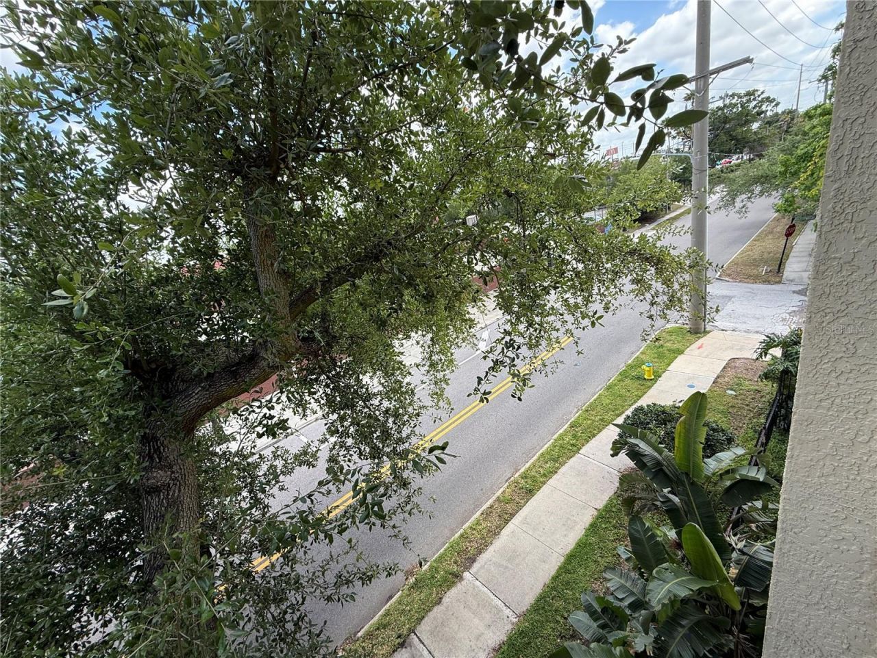 1910 E Palm Avenue, Unit 11321, Tampa, FL 33605 Photo