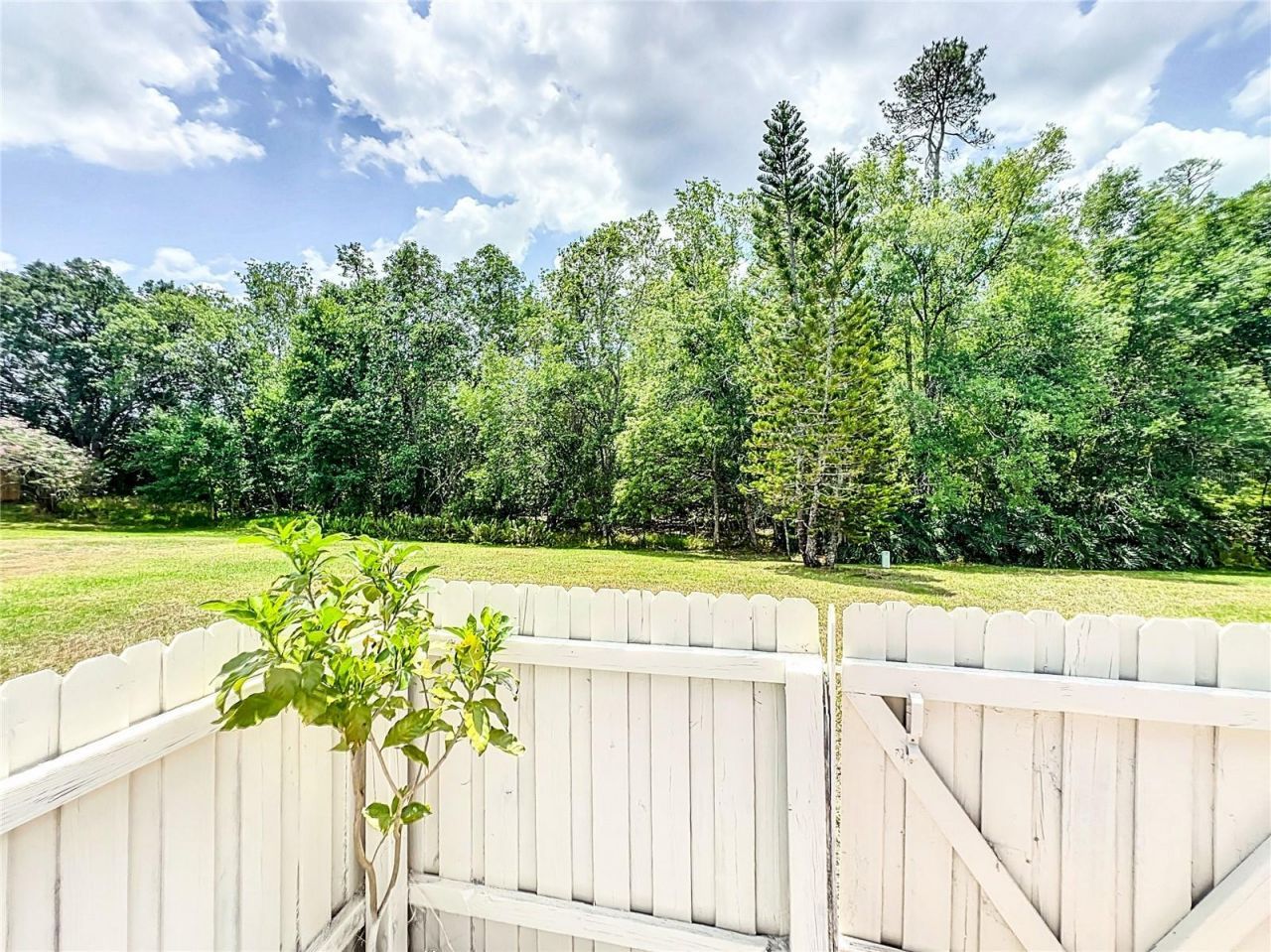 5716 Delano Lane, Orlando, FL 32821 Photo