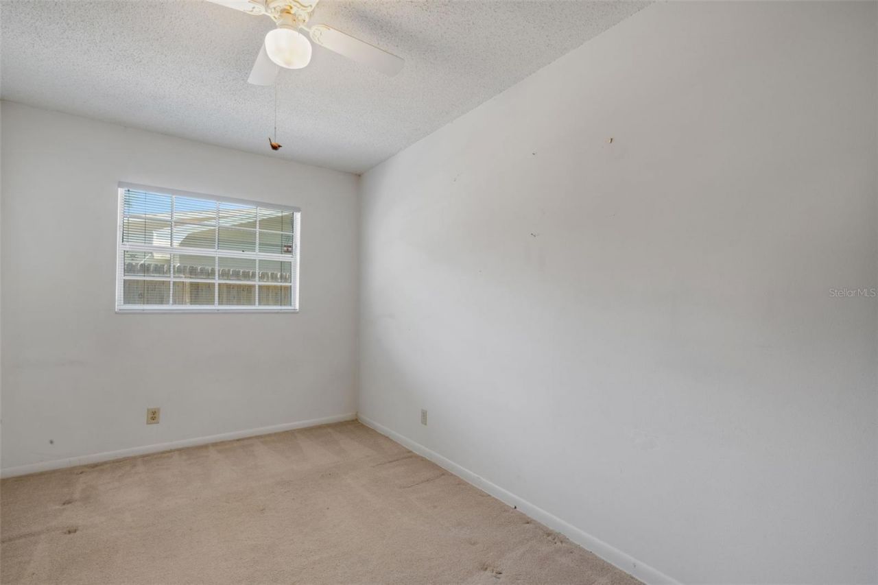 12712 Sebring Boulevard, Tampa, FL 33618 Photo