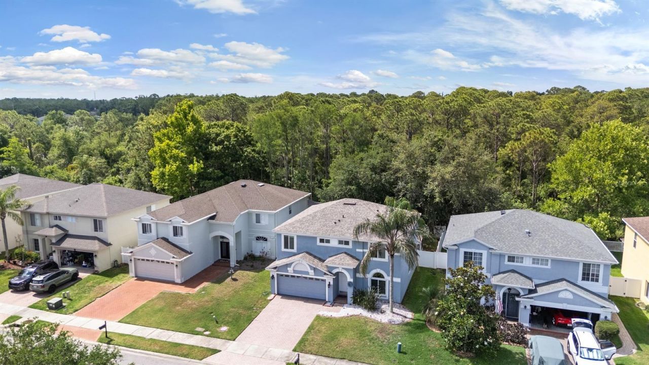 380 Rosalind Lane, Oldsmar, FL 34677 Photo