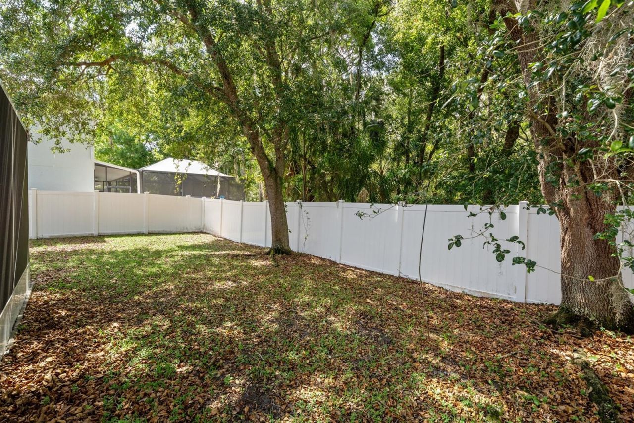 380 Rosalind Lane , Oldsmar, FL 34677 Photo