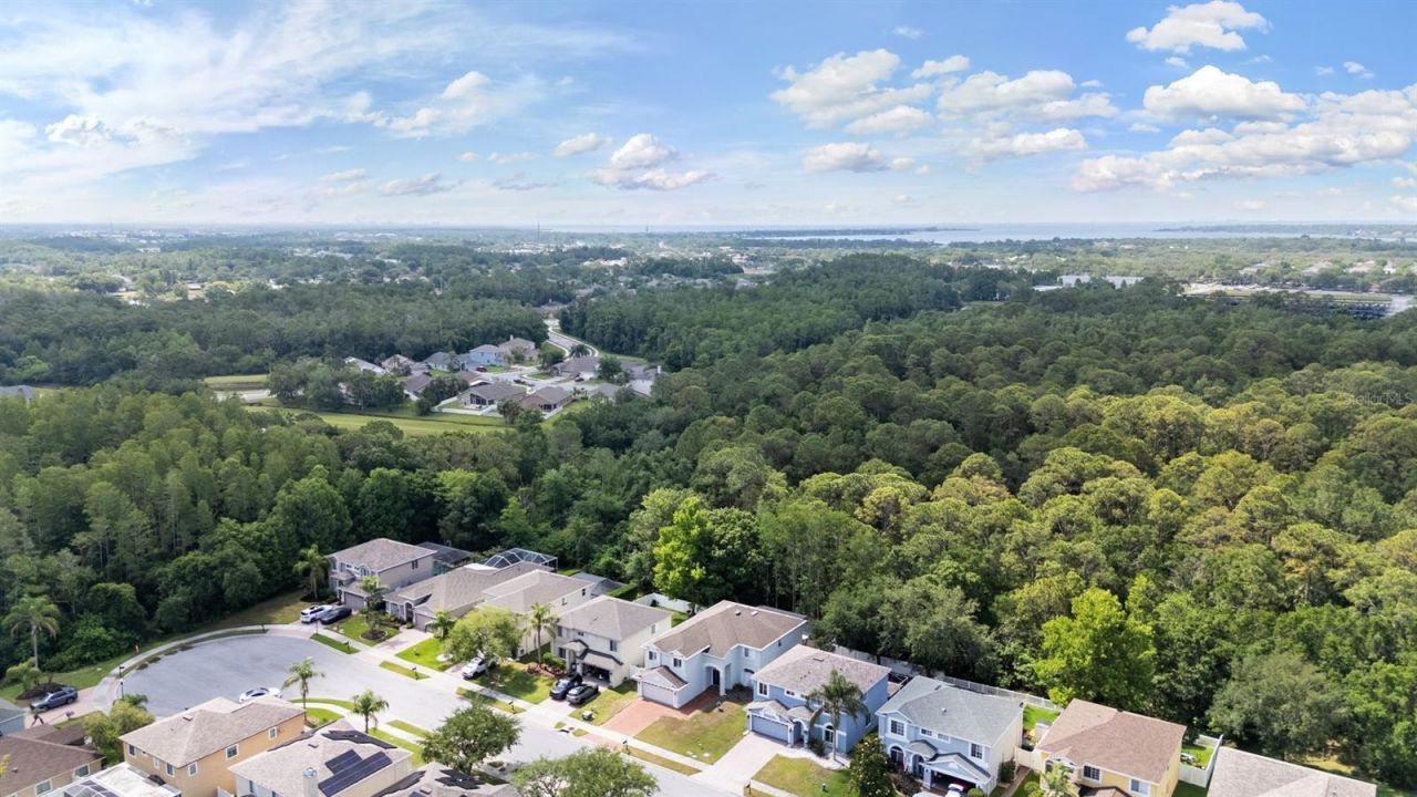 380 Rosalind Lane , Oldsmar, FL 34677 Photo