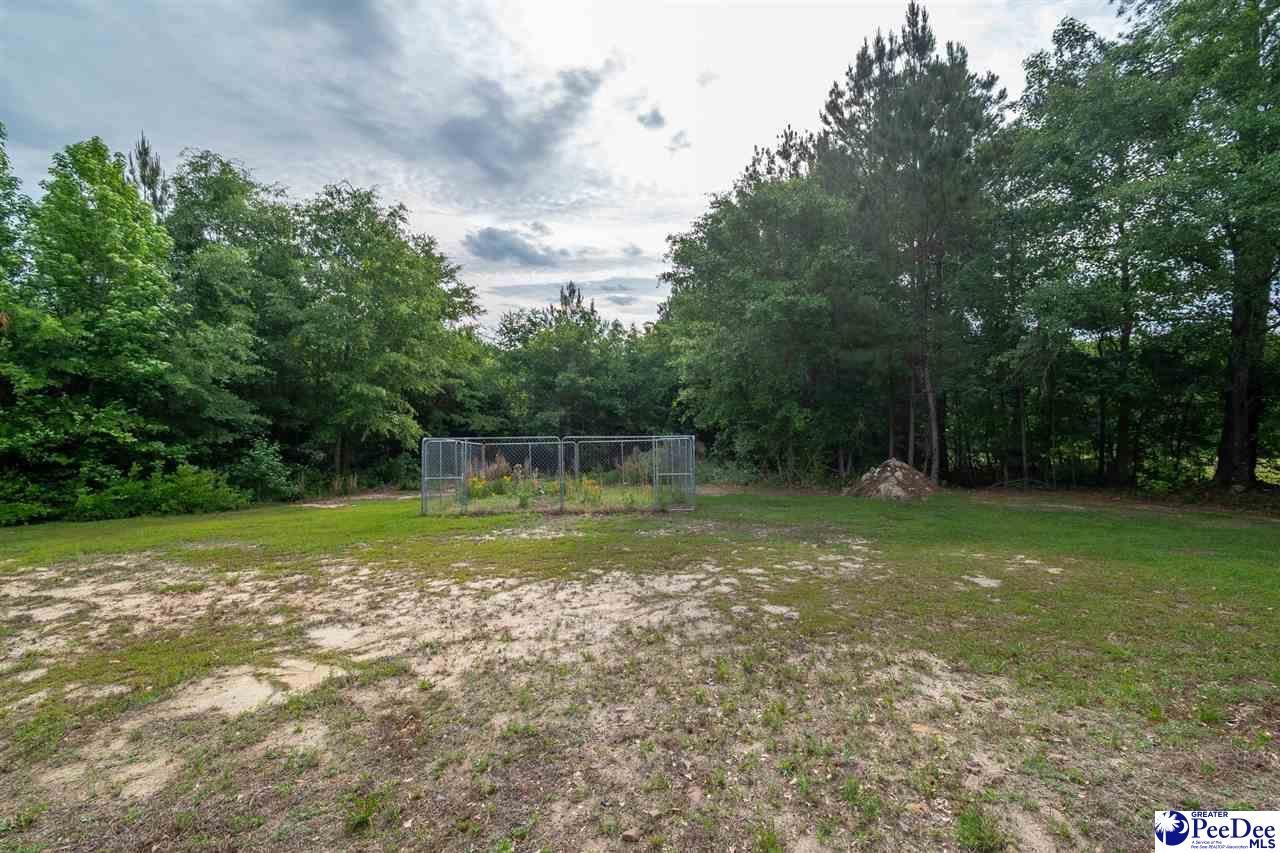 1490 Shiloh Acres Road Photo 11