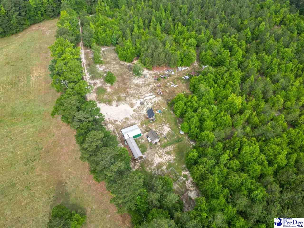 1490 Shiloh Acres Road Photo 12