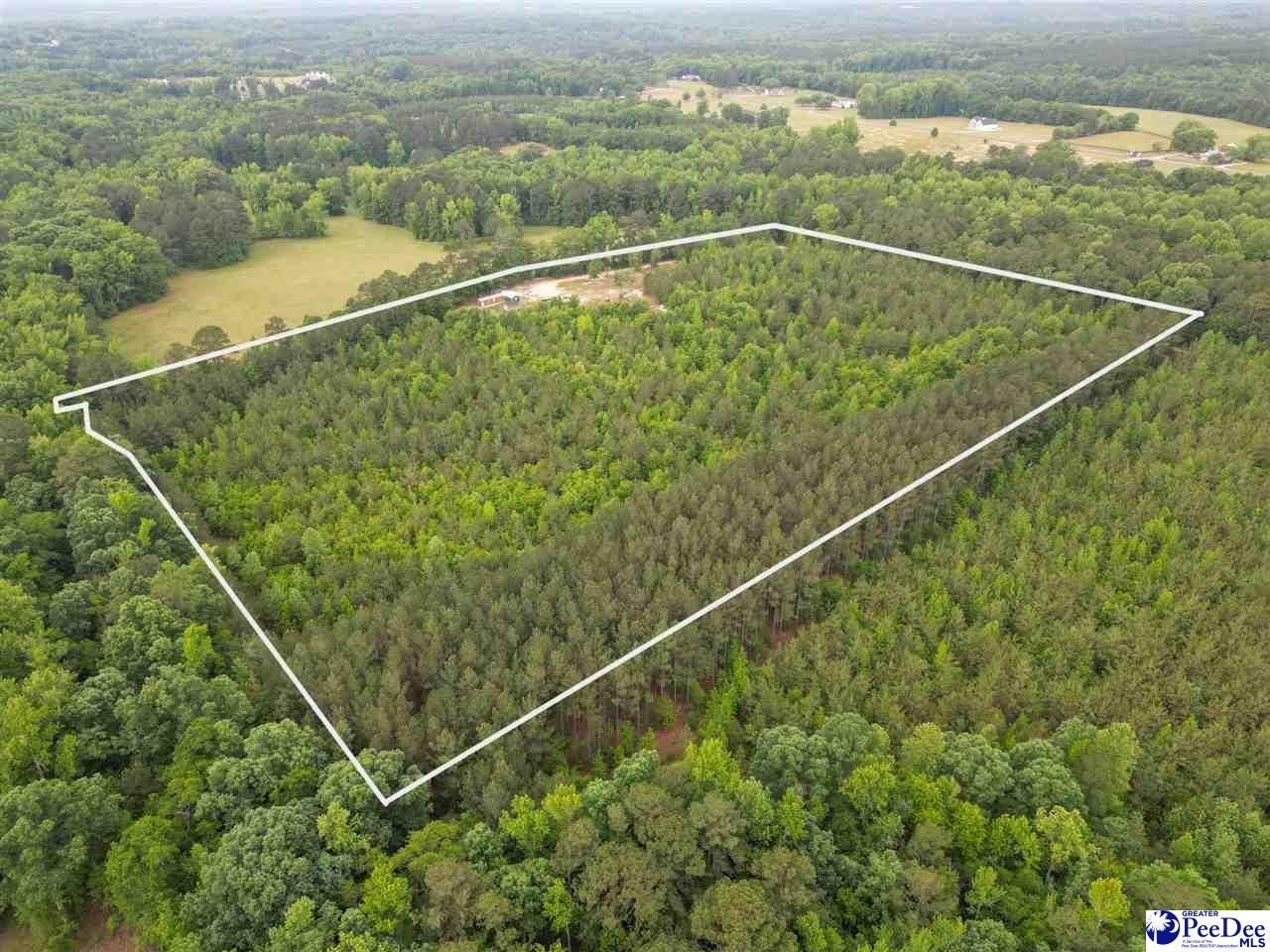 1490 Shiloh Acres Road Photo 4