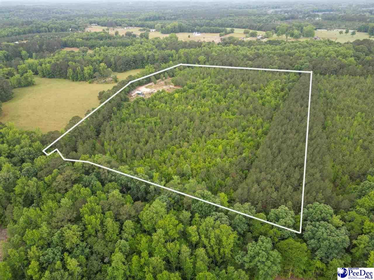 1490 Shiloh Acres Road Photo 5