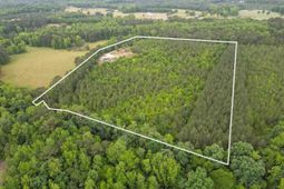 1490 Shiloh Acres Road photo 4