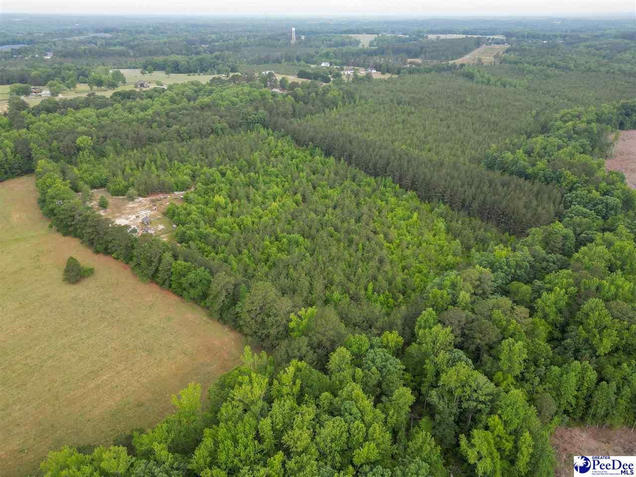1490 Shiloh Acres Road Photo 6