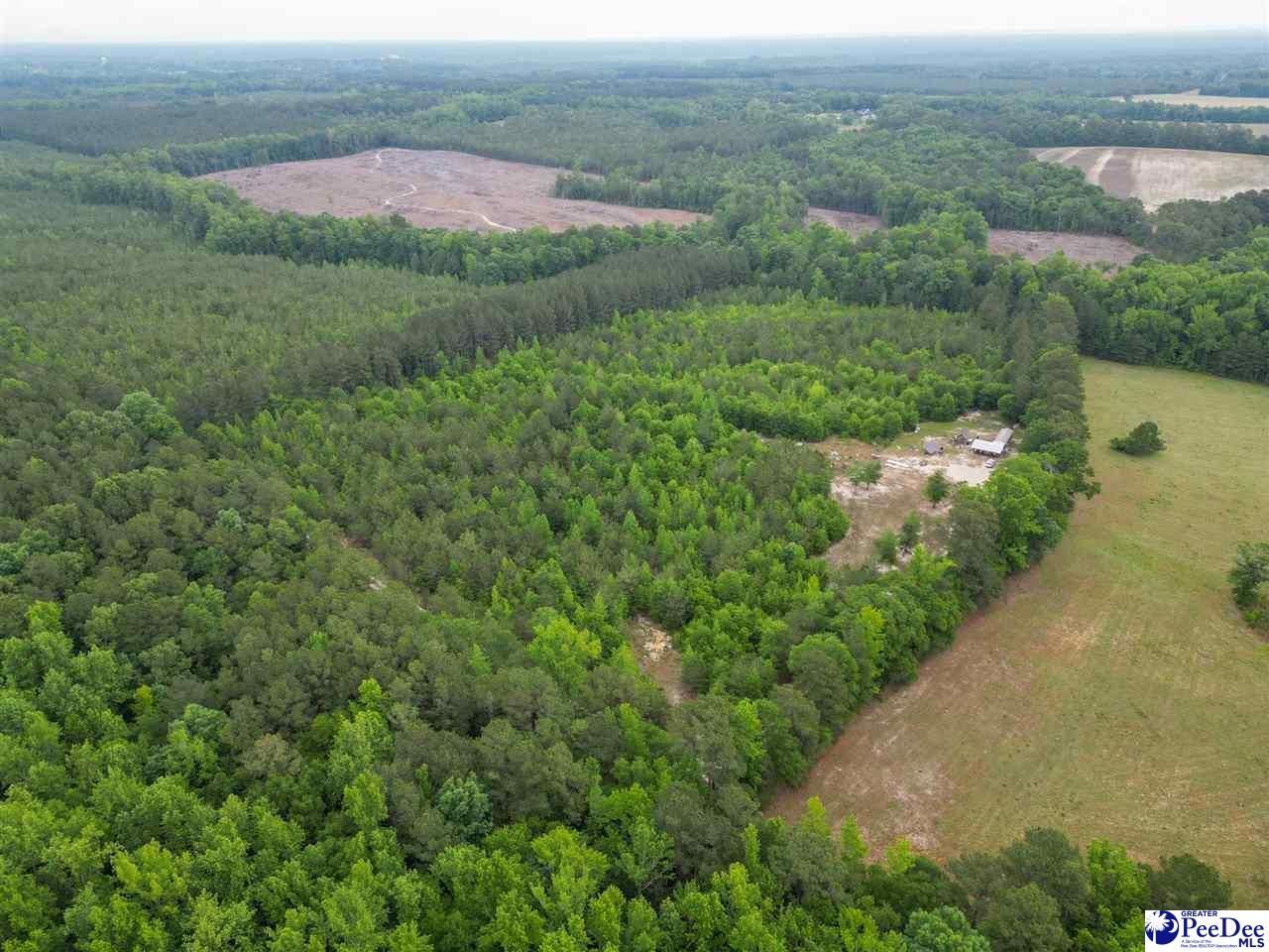 1490 Shiloh Acres Road Photo 7