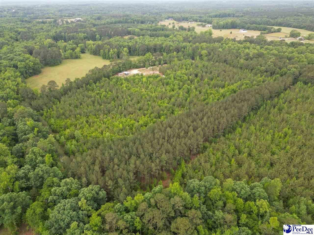 1490 Shiloh Acres Road Photo 8
