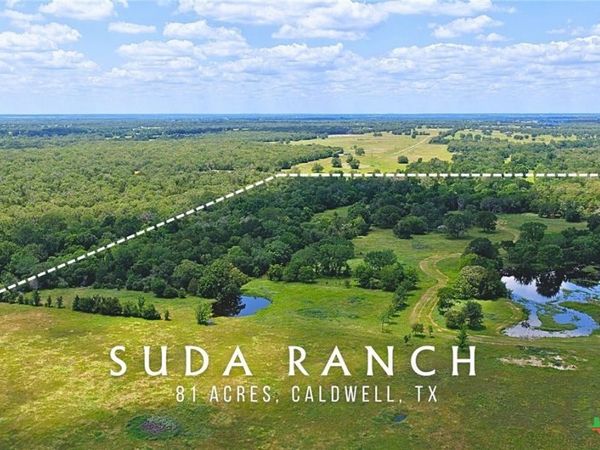 5380 County Road 132 (81.02 acres) , Caldwell, TX 77836