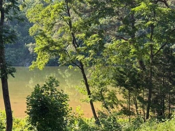 1953 Moorman RD, Hardy, VA 24101