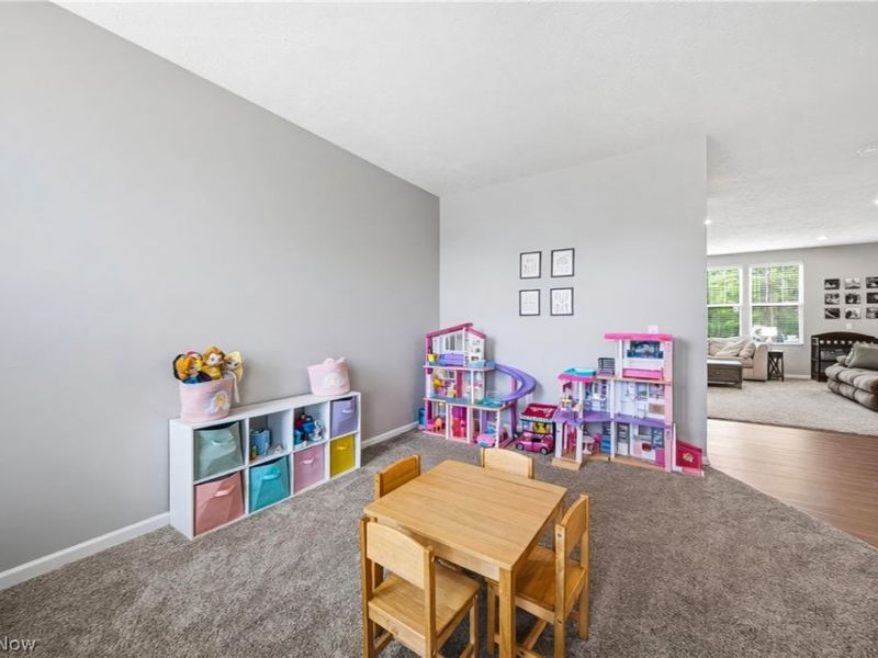 3527 Patterson Circle, Richfield, OH 44286 Photo 4