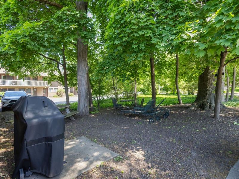 2479 Euclid Heights Boulevard , Cleveland, OH 44106 Photo 28