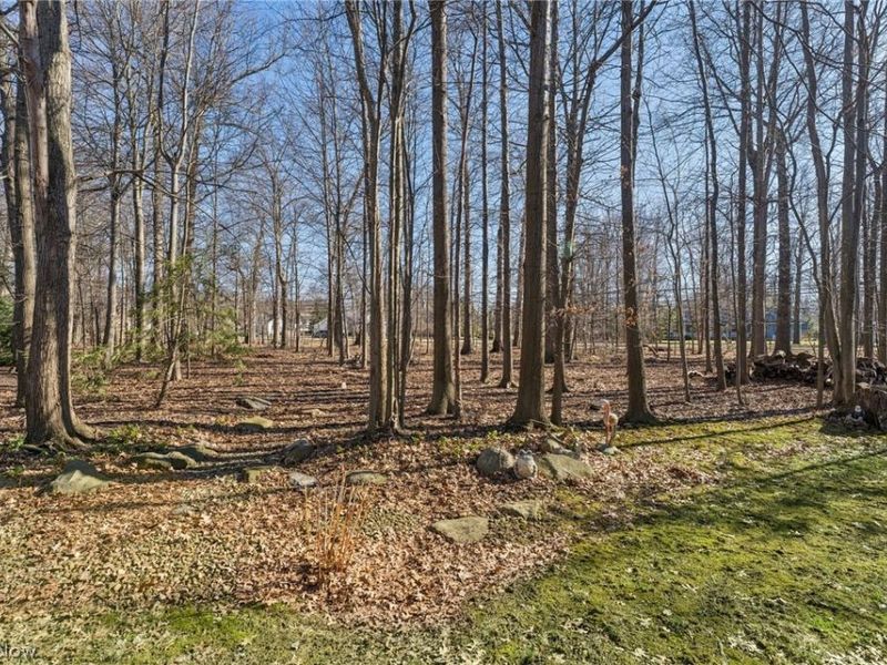 32341 Regency Court , Avon Lake, OH 44012 Photo 42