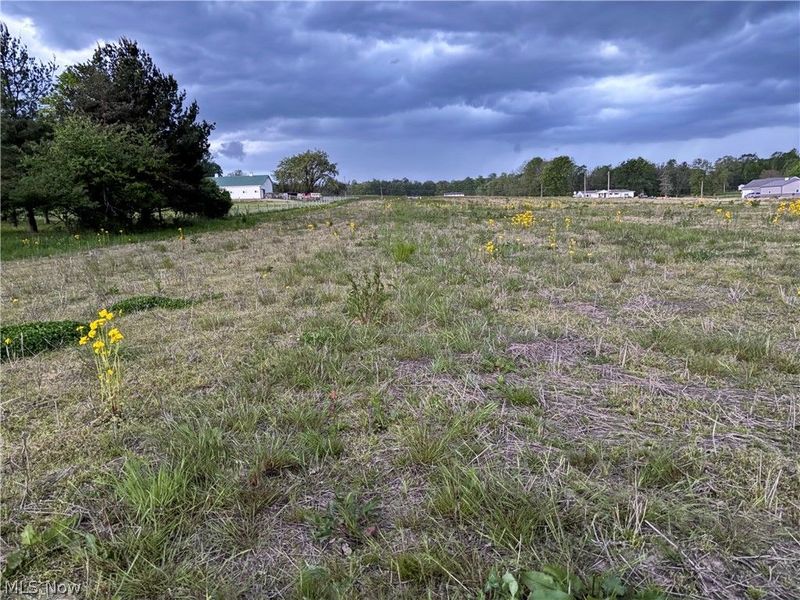v/l Alger Road , Richfield, OH 44286 Photo 6