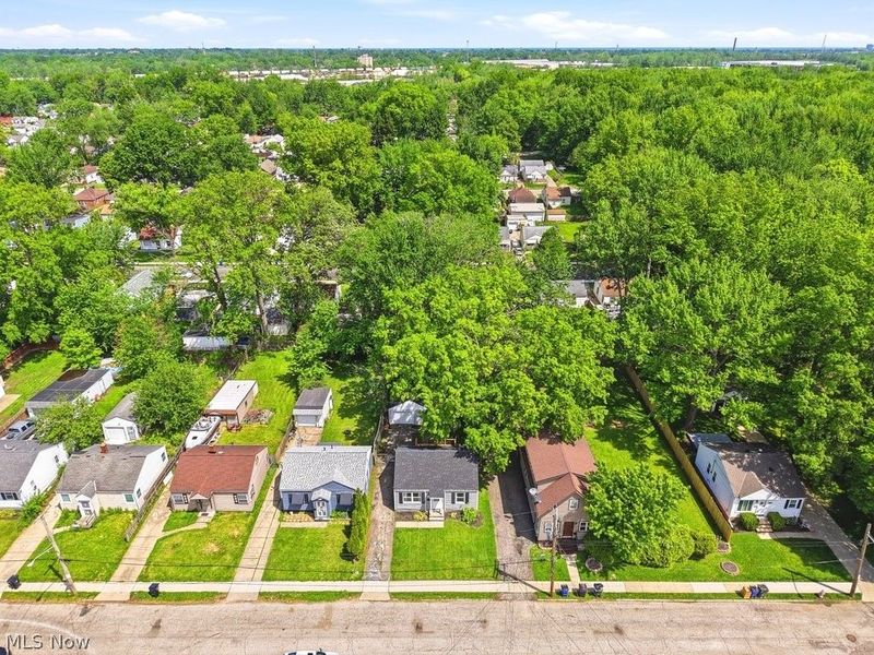 11718 Kirton Avenue , Cleveland, OH 44135 Photo 6