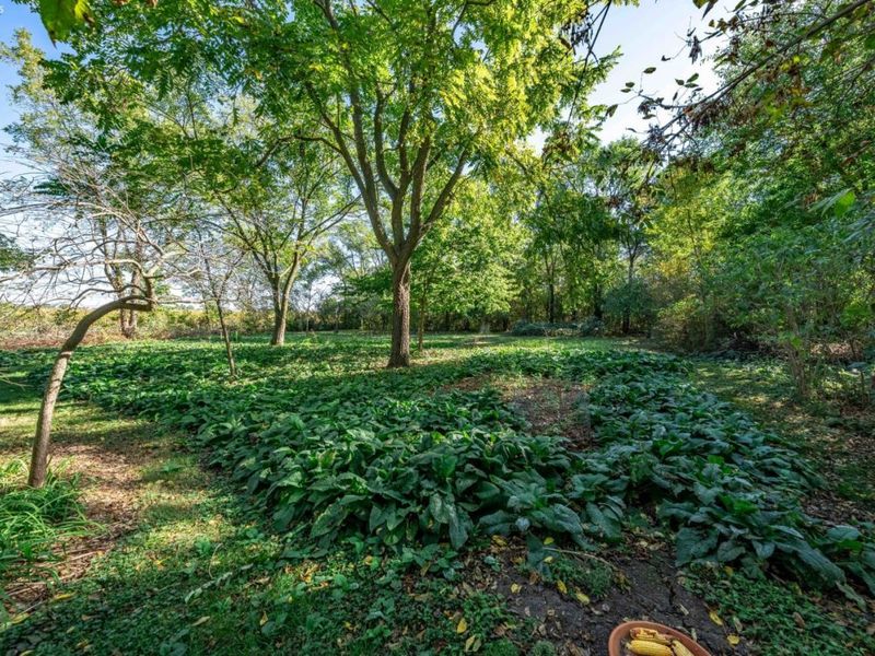 12430 W Bier Road, Oak Harbor, OH 43449 Photo 36