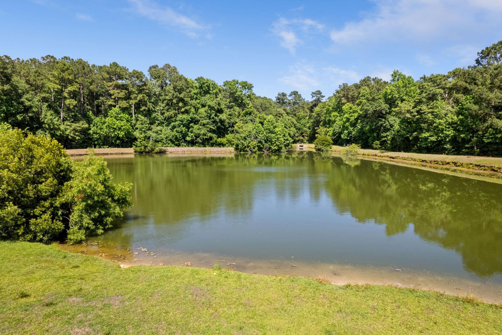 207 Sparkleberry Lane Photo 45