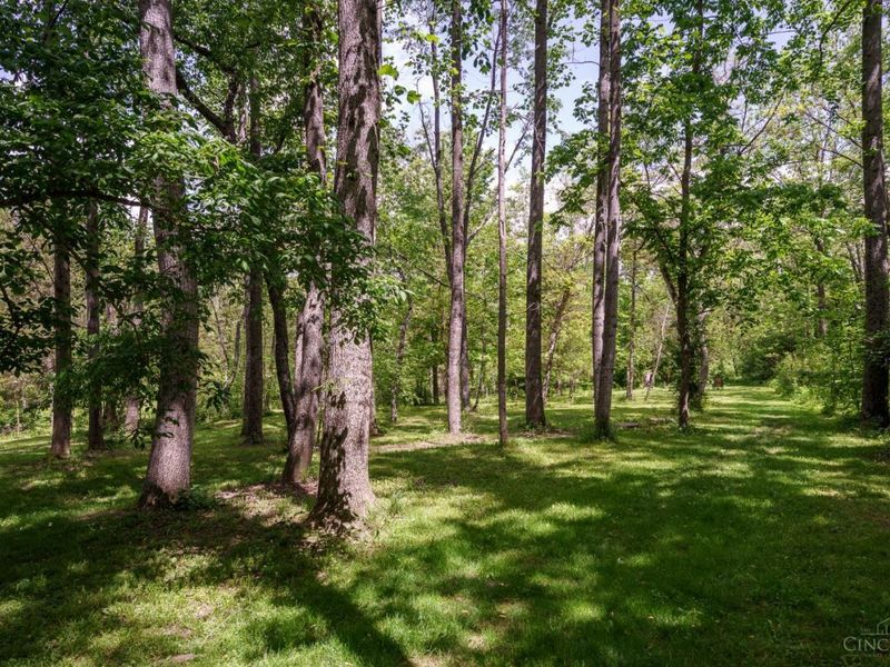 10547 E State Route 73, Waynesville, OH 45068 Photo 21