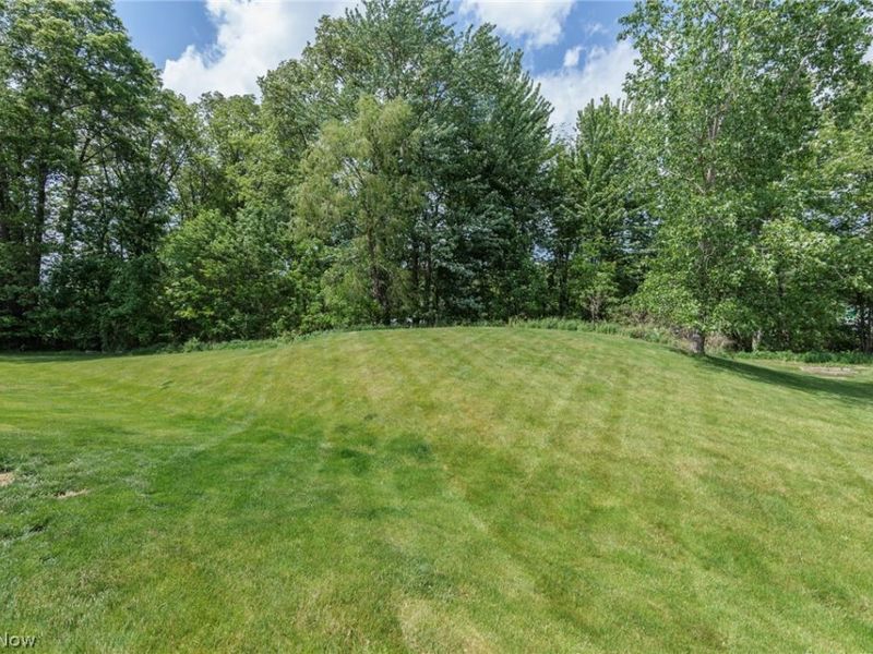 29049 Pembrooke Boulevard, Olmsted Township, OH 44138 Photo 29