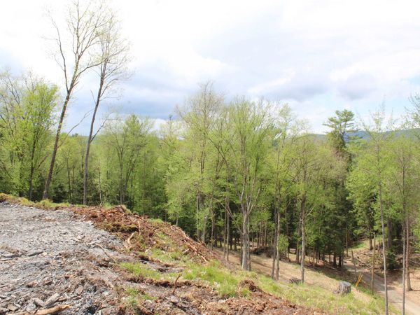 Lot 23/24 Wetherbee Road, Lyman, NH 03585
