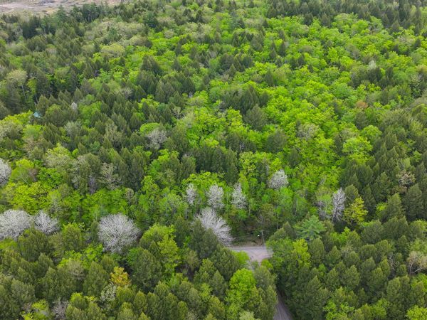 MU42 L50 Timber Bay Shores Road , Lovell, ME 04051