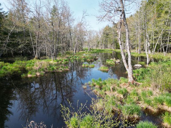 Lot 2 Off Mattamiscontis Road , Howland, ME 04448