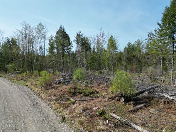 Lot 1 Mattamiscontis Road , Howland, ME 04448