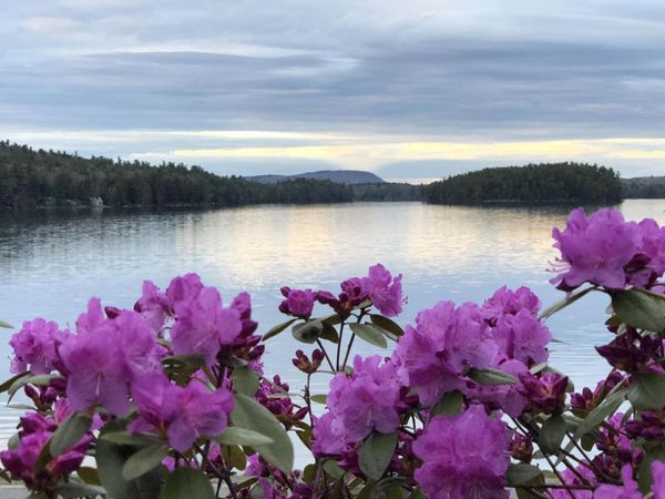 362 Stickney Hill Road , Liberty, ME 04949