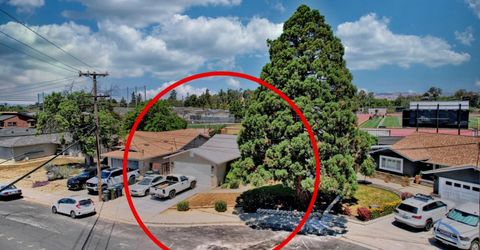 878 Alexander St, Livermore, CA 94550 Photo