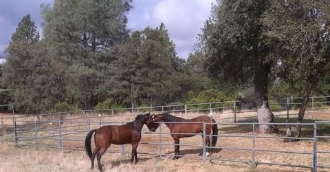 Please Call For Address, Georgetown, CA 95634 Photo